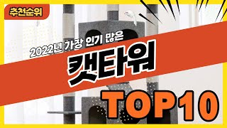 2022년 가장 인기있는 고양이 캣타워 추천순위 TOP10