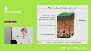 Naturgartentage 2019 | Dipl.-Ing. Peggy Heine - Aufgabe und Funktion der Pilze im Boden