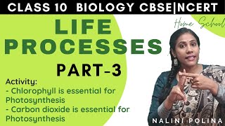 Life Processes Class 10 Biology| Photosynthesis | Part-3