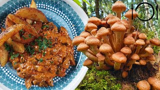 Nejlepší recept z Václavek. Stroganov z Václavek. Houbové recepty.