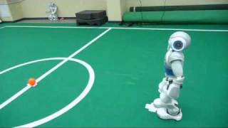 Nao-Team HTWK - Dribbling