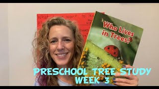 Preschool Tree Study Week 3