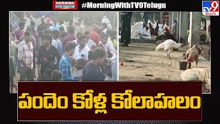 ఏపీలో పందెం కోళ్ల కోలాహలం | Sankranthi cockfighting | Andhra Pradesh - TV9