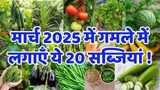 मार्च 2025 में लगाई जाने वाली सब्जियां | March me konsi sabji lagaye | March Month Vegetable To Grow