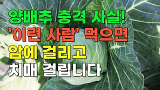 양배추와 절대로 함께 먹지 마세요! 암과 치매에 걸릴 수 있습니다! [양배추 효능, 건강식단, 아침공복]