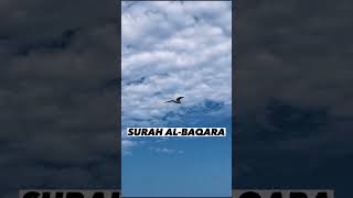 SURAH AL-BAQARA |Ayaat 56+57| Recitation by Mishary Rashid Alafasy | Islam The Heavenly Path