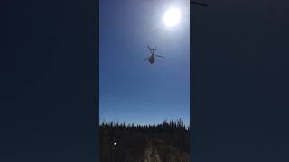 Bluebird sky as the heli drops me off in remote wilderness #helicopter #fieldwork #nature #nwt #bush