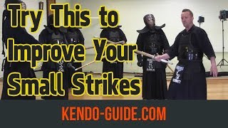 Keeping Your Sword Down Kihon  with Alex Bennett sensei 2018 November