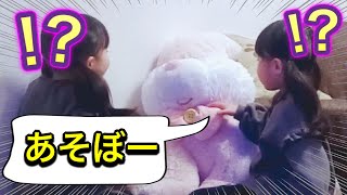 【ドッキリ】大好きなぬいぐるみが突然おしゃべりしだしたら5歳双子はどんな反応する！？【ペチャット】