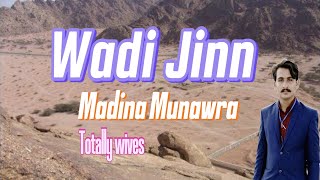 Wadi Jinn Madina Munawra Totall Reviews GMT Group Pvt LTD