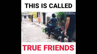 👬 TRUE FRIENDS 👬 WHATSAPP STATUS || FUNNY FRIENDS WHATSAPP STATUS || FRIENDS FOREVER WHATSAPP STATUS