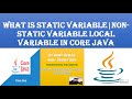 What is static|non-Static variable |Local Variable Online Live Session