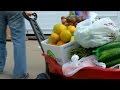 Celebrating 40 Years of Service - San Diego Food Bank Mission (2017)