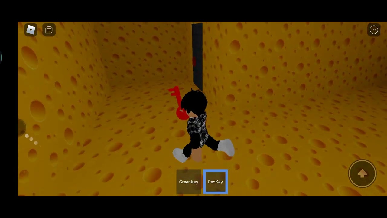 Roblox Cheese Escape Grey Door At Loretta Burroughs Blog