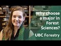 Bachelor of Science in Natural Resources - Forest Sciences Major