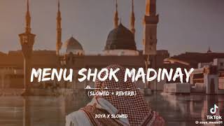 MENU SHOK MADINAY || SLOWED + REVERB || BEAUTIFUL NAAT SHREEF || 2024 #fypシ゚viral #viralvideo#islam