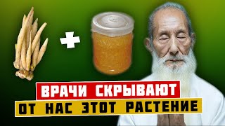 КИТАЙЦЫ едят это ЧУДО РАСТЕНИЕ каждый день, Очищают ОРГАНИЗМА от шлаков