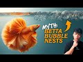 10 Betta Fish MYTHS You SHOULD Know!