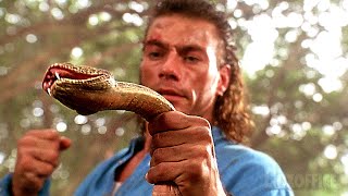 Jean Claude Van Damme punches a snake | Hard Target | CLIP 🔥 4K