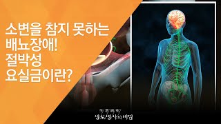 소변을 참지 못하는 배뇨장애! 절박성 요실금이란? - (20121027_433회 방송)_말 못할 고민 - 배뇨장애