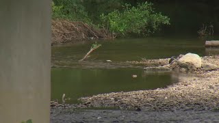 Recycle Saline needs volunteers for trash clean up before Hurricane Laura