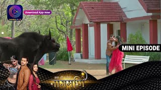 Ishq Ki Dastaan Naagmani | 4 April  2023 Episode 254 | Mini Episod | Dangal TV