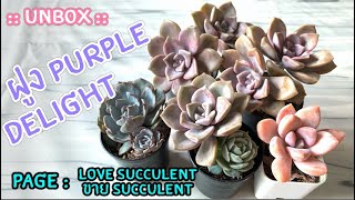 [ Rookie P ] EP89 Unbox : ฝูง Purple Delight ชอบมาก ซื้อแล้ว ซื้ออีก