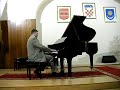 vedran milić fantaisie impromptu f. chopin