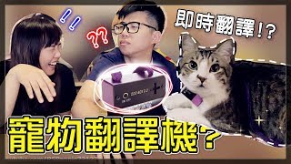 【魚乾】狗語翻譯機貓咪到底能不能用？難道又是詐騙？