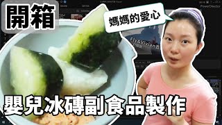 【嬰兒副食開箱】冰磚手工製作全記錄！新手媽媽的寶寶粥製作指南，爸爸神隊加持，副食品創意滿分！