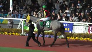 2011/03/05 阪神11Rチューリップ賞 パドック 1着レーヴディソール part2