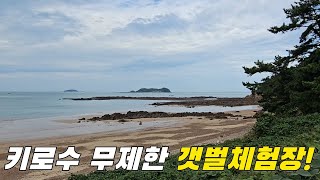 바지락체험장에 바지락 만큼 많은 이것? +먹방 ft.샛별바지락체험장