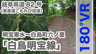 【郡上の道】岐阜県道82号「白鳥明宝線（奥美濃こもれび街道）」（寒水〜六ノ里） Insta360 One X2（180VR）