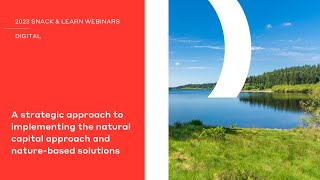 A Strategic Approach to implementing the Natural Capital Approach and Nature-Based Solutions