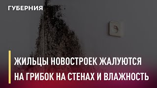 На грибок и влажность жалуются жильцы новостроек в Переяславке. Новости. 19/03/2021. GuberniaTV