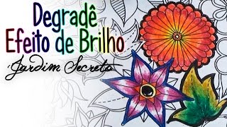 Colorir em DEGRADÊ | Efeito de Brilho | Jardim Secreto - Andreza