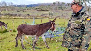 Encuentro entre Kincan y Platera, que no se pierda la forma de vida rural