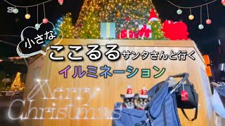 小さなここるるサンタさんと行くイルミネーション⭐︎ @チワワのここるるチャンネル