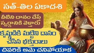 సత్-తిల ఏకాదశి వ్రతకథ, వీటిని దానం చేస్తే చాలా మంచది.