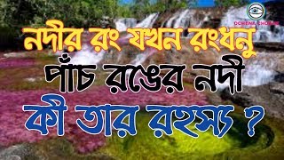 River of five colours |Caño Cristales||পাঁচ রঙের নদী। তরল রামধনু।