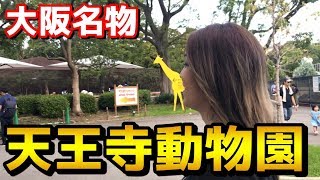 【前編】天王寺動物園って最高なんじゃないの？【大阪】