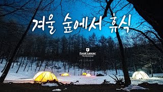 별 내린 정선의 밤, 겨울 숲에서 휴식