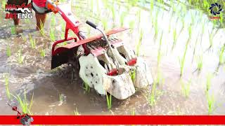 MAXXI : POWER WEEDER  Membersihkan Rumput di Padi