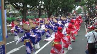 十人十彩　高知よさこい祭り　全国大会　追手筋南