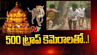 Operation Chirutha Continuous in Tirumala | Ntv