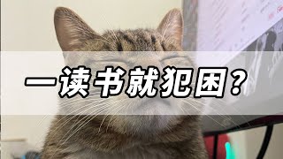 一读书就犯困？相信我你可能并不适合读书。