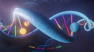 A closer look to the aging process | Virtual Reality Video