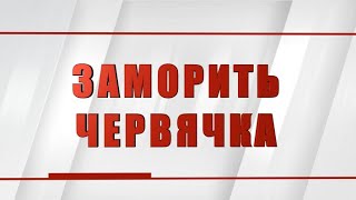 Специальный репортаж «Заморить червячка»