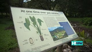 Caring for plants means caring for the community