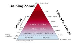 Exercise Training Zones For Endurance Athletes (Rowers)